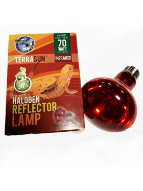 Ampoule chauffante infrarouge à économie d'énergie