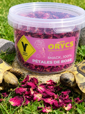Pétales de rose séchées